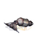 Compatible with kia optima 2006-2008 FWD 2.7L stainless steel emissions control component