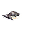 Compatible with hyundai santa fe 2006 FWD/AWD 2.7L V6 stainless steel